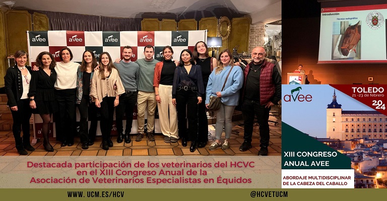 Duodécimo Congreso Anual de la AVEE